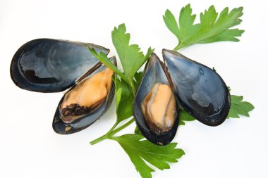 Two mussel with and parsley clipart