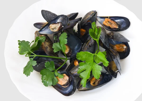 Mussels with parsley closeup — Stock Photo, Image