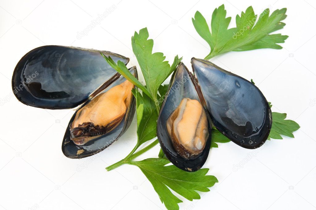 Two mussel with and parsley