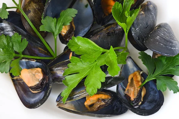Mussels with parsel — Stock Photo, Image