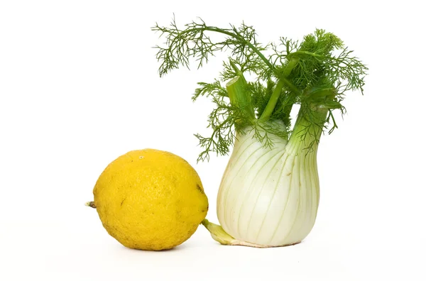 Fenchel und Zitrone — Stockfoto