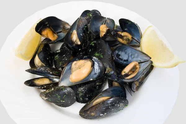 Plate with mussels — Stock Photo, Image