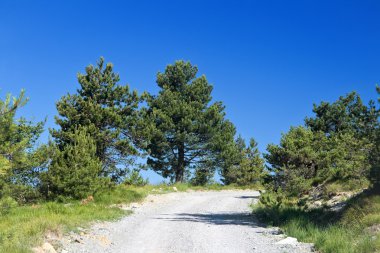 Strada sterrata di montagna