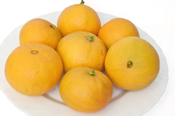 Oranges on plate — Stock Photo, Image