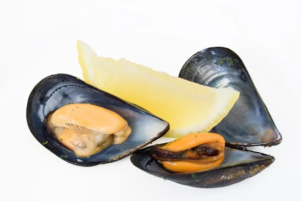 Two mussels with lemon — Stock Photo, Image
