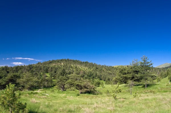 stock image Piani di Praglia