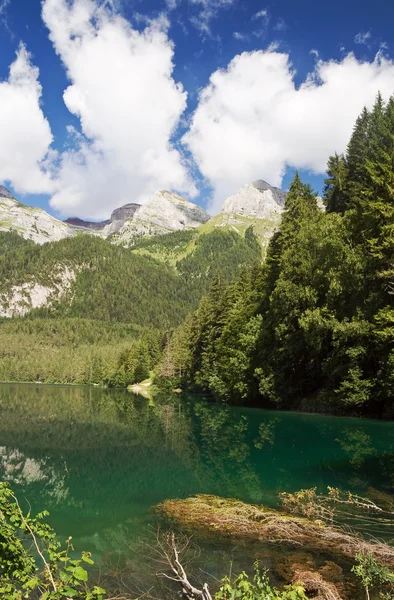 Lago tovel, Italien — Stockfoto