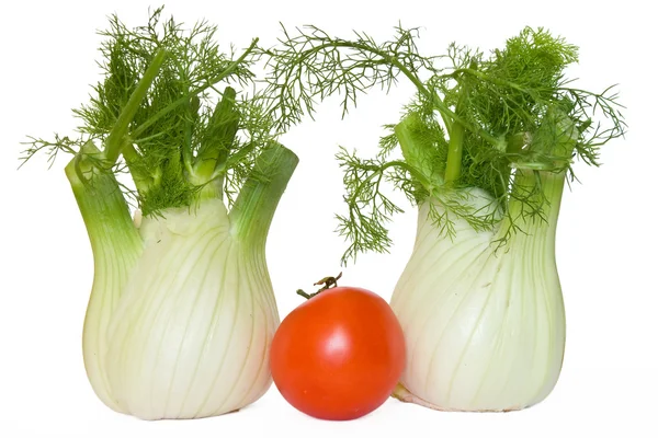 Two fennel and tomato — Zdjęcie stockowe