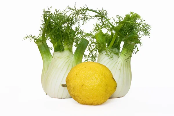 Dos hinojos con limón —  Fotos de Stock