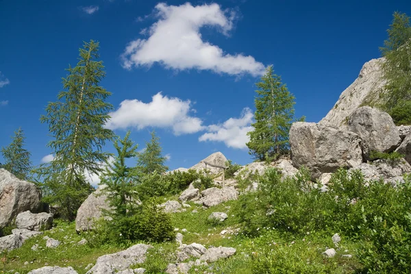 Alp Panoraması