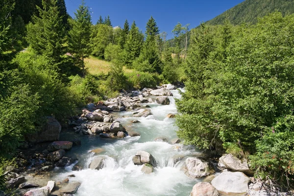 Vermigliana stream, Trentino, Italy — Stock Photo, Image