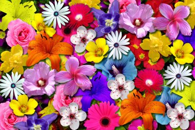 Floral scene clipart