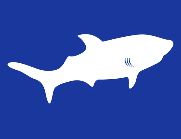 Логотип акулы — стоковый вектор