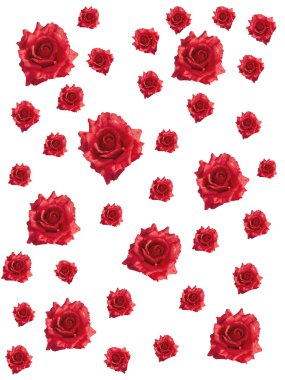 Red roses on white background clipart