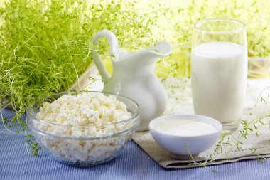 Fresh milk products clipart