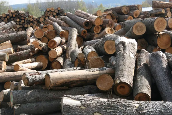 Fábrica de madeira — Fotografia de Stock