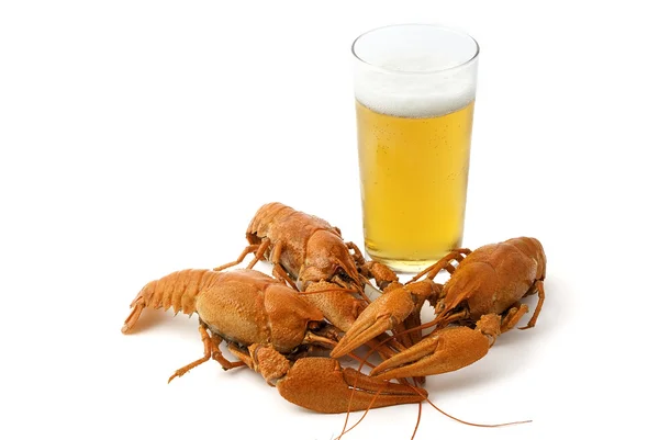 stock image Crayfish