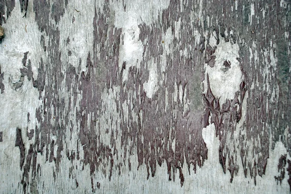 Mur en bois — Photo