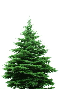 The Bare Christmas tree clipart