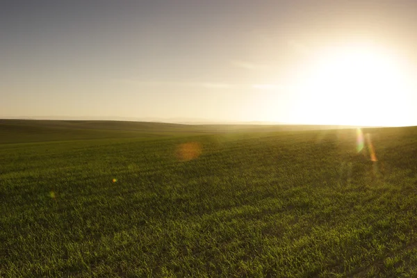 stock image Sunrise over the field