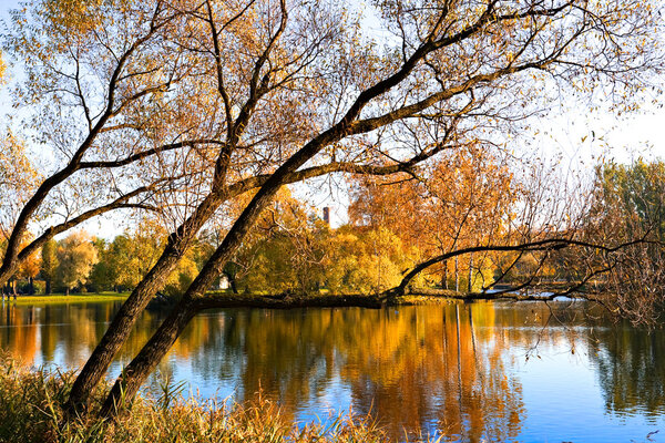 Autumn landscape of lake and bright trees