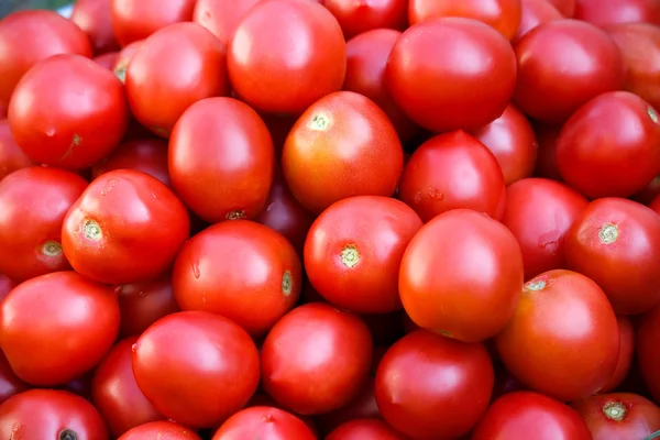 stock image Tomato