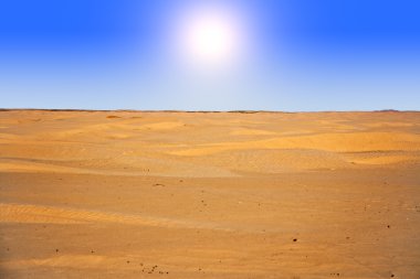 Sahara