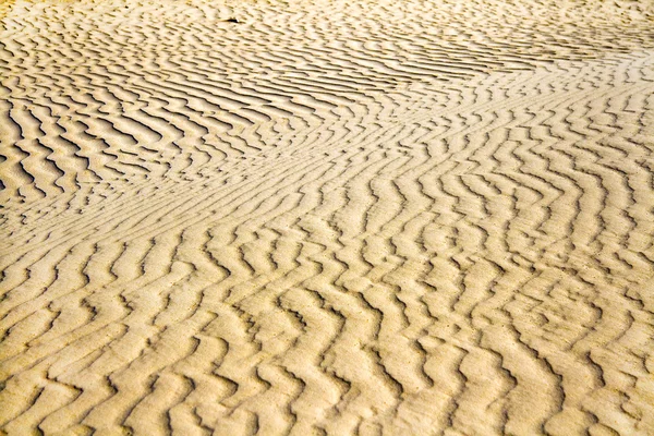 Dune — Fotografie, imagine de stoc