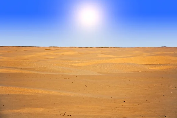 Sahara —  Fotos de Stock
