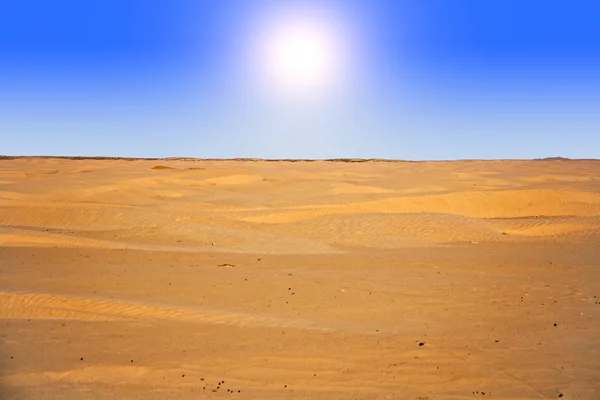 Sahara — Stockfoto