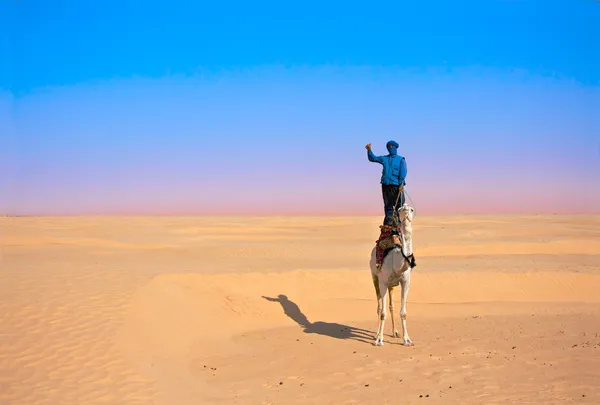 stock image Bedouin