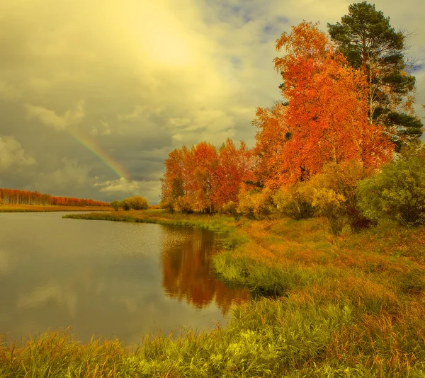 stock image Autumn, Rainbow