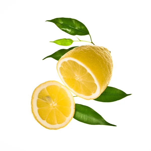 Slice of lemon with leaves — Stock Photo, Image