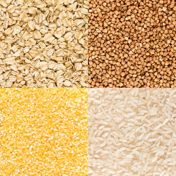 Millet, oatmeal, buckwheat, rice — Stock Photo, Image