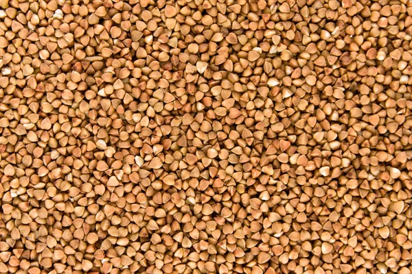 Background from buckwheat. — Stock Photo, Image