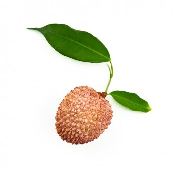 Lichi isolated on white background. clipart