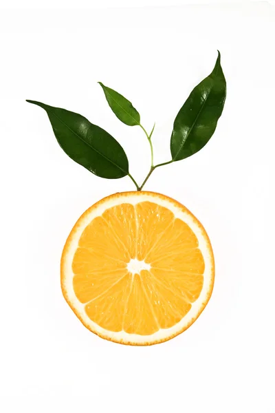 잎으로 오렌지 슬라이스 로열티 프리 스톡 사진