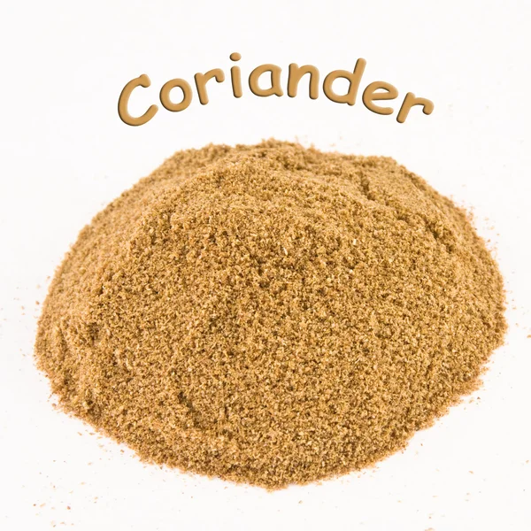 Spice - coriander — Stock Photo, Image