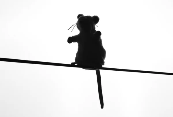 Sylwetka myszy na gałęzi — Zdjęcie stockowe