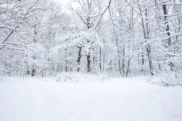 Paysage hivernal Photos De Stock Libres De Droits