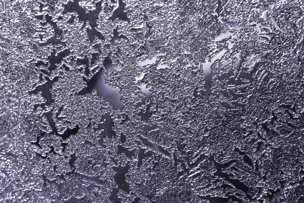 stock image Frost