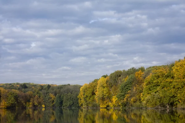 stock image Small river