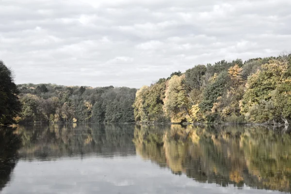 stock image Small river