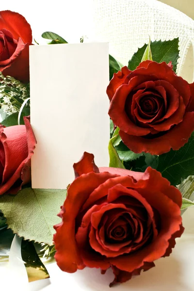 Rózsák kártya — Stock Fotó
