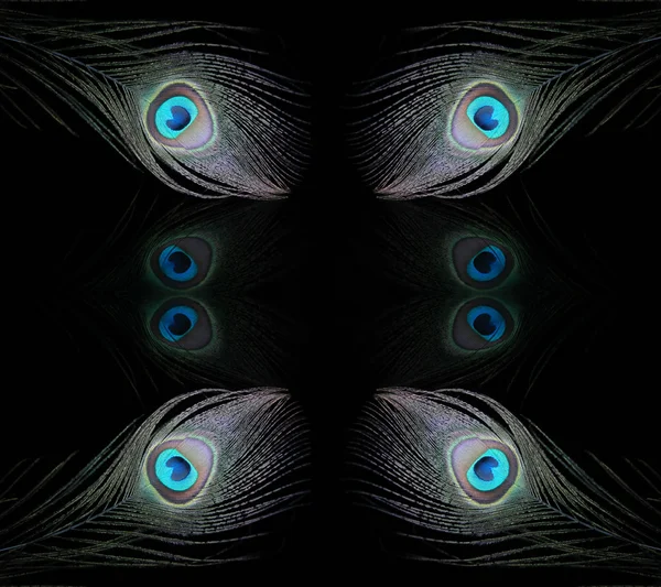 Ojo de pavo real —  Fotos de Stock