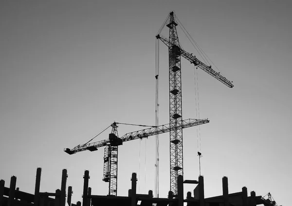 Silhouettes of elevating cranes — Stock Photo, Image
