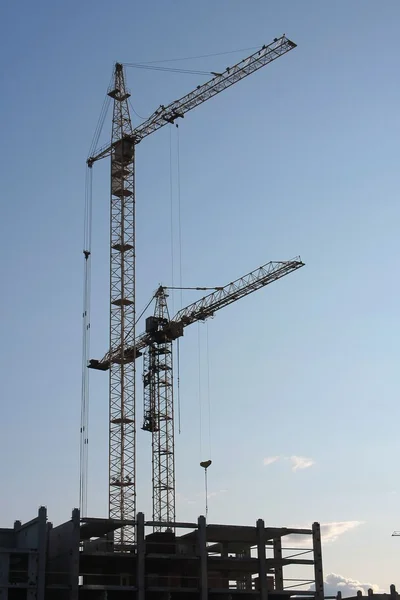 Silhouettes of elevating cranes — Stock Photo, Image