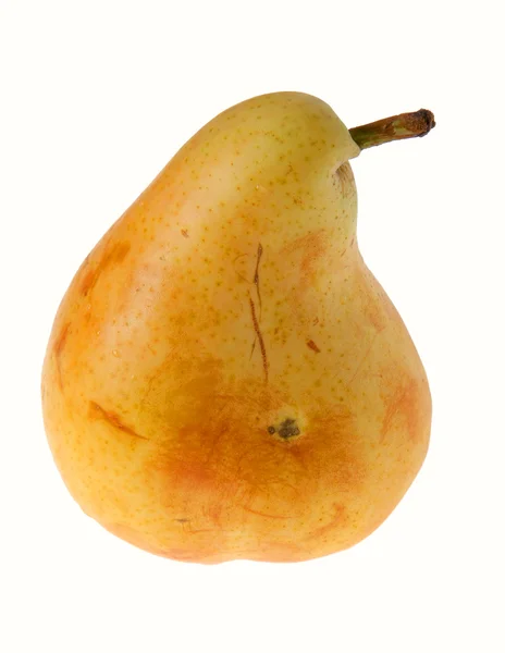 Pear ripe — Stock Photo, Image