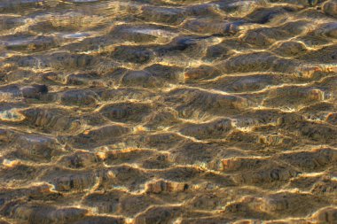 Surface of the water clipart