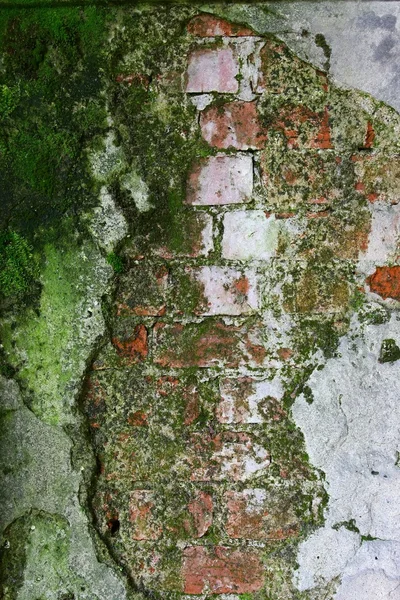 Fragmento de una vieja pared — Foto de Stock